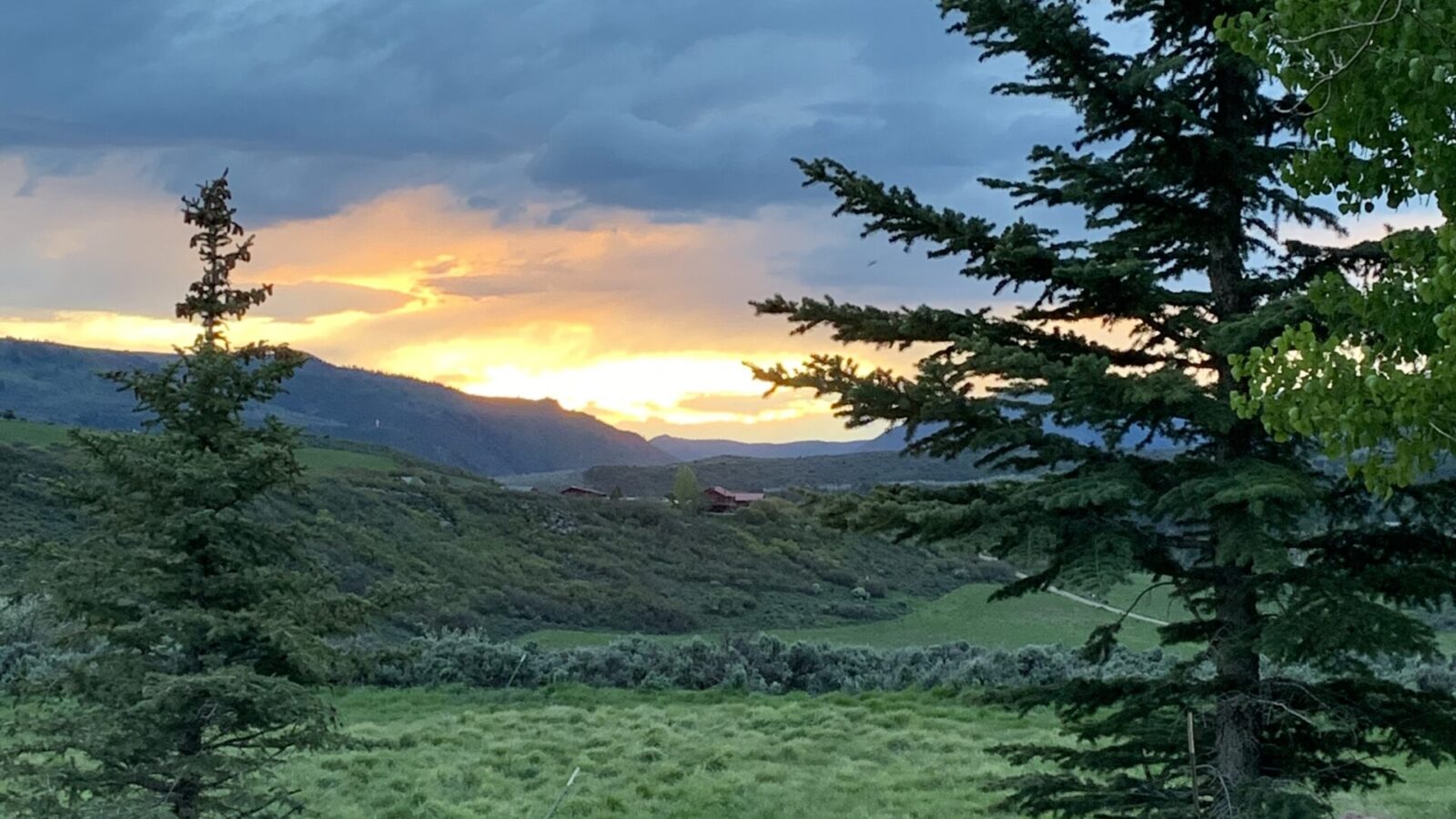 Summer sunset with green yard and mountains